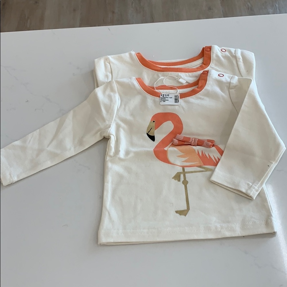 Blade and Rose Long Sleeve Tee Shirt